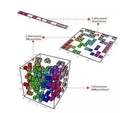 聚美体类型裂变，从三系分立到八维矩阵