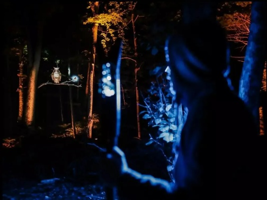 古林之眼预告片首发,沉浸式恐怖冒险即将开启 古林之眼预告片首发,沉浸式恐怖冒险即将开启