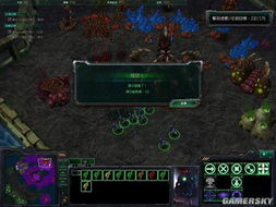 星际争霸2026三族制衡真相，从青铜到大师必须破解的5个隐藏机制