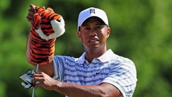 高尔夫巨星老虎伍兹突发被捕，世界顶级运动员涉事引关注