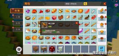 窝窝世界新手怎么玩？2026年虚拟社交赚钱全攻略，从0到1构建你的元宇宙资产