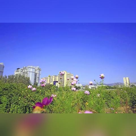 2026天堂2转职终极攻略，从新手到觉醒的完整决策树