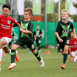 光明ol职业选择总踩坑？2026开年版本隐藏强度榜+底层机制拆解