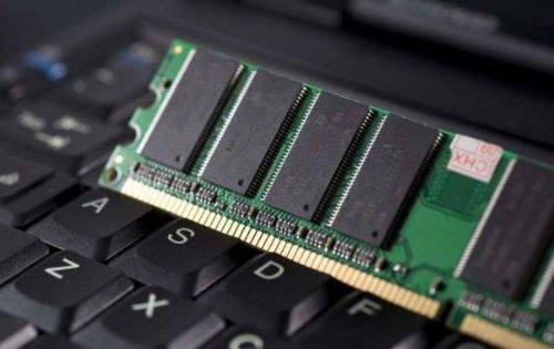 6.99美元捡漏64GB内存条!因店员不识货“白送” 6.99美元捡漏64GB内存条!因店员不识货“白送”