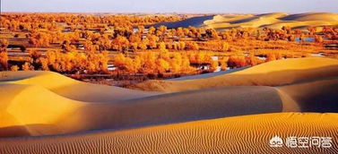 《红色沙漠》逐步替换AI生成素材 美术资源完成首轮更新 《红色沙漠》逐步替换AI生成素材 美术资源完成首轮更新