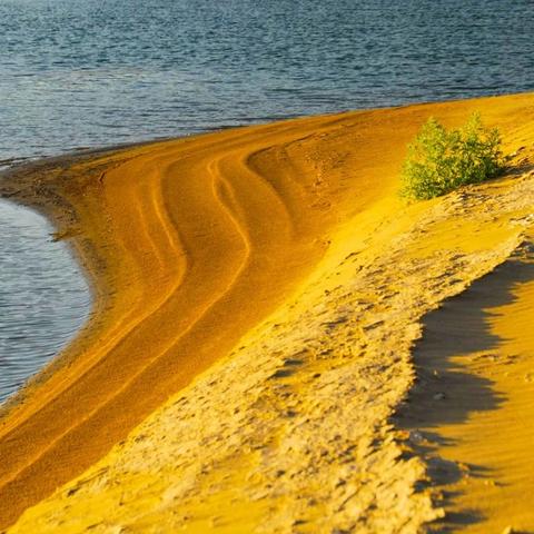 红色沙漠玩家热议，游戏里身材丰腴火辣的美女太吸睛