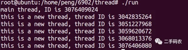 虚拟机破解遇技术死锁？D加密破解者互怼引玩家揪心