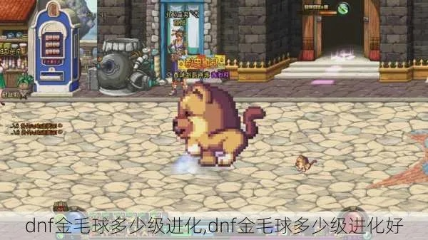 DNF金毛球宠物2026春节版本实测，隐藏机制+3条冷门获取途径全揭秘