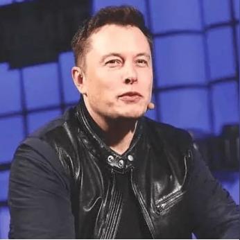 Q宠神奇之旅2026隐藏机制大揭秘，绝版地图7日速通实战手册