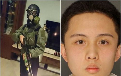 被误读的星二代样本，Quintus的真实画像