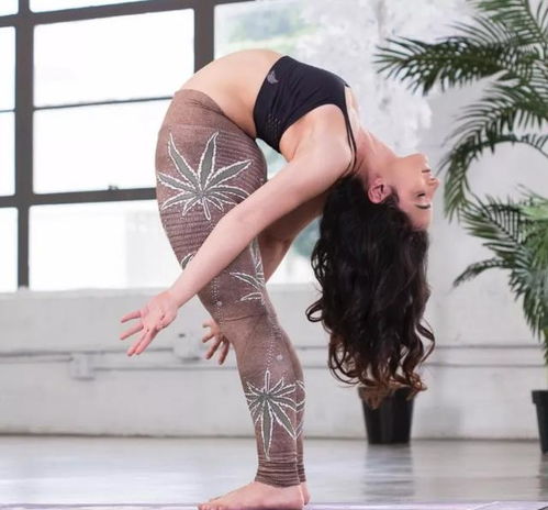 探秘韩国网红美女 auddk 的瑜伽日常，解锁健康活力秘诀！