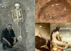 当遭遇美人鱼，一场暗藏肉欲元素的囧图奇遇