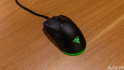 赛睿Kana vs 毒蝰Mini，2026年小手FPS鼠标终极对决