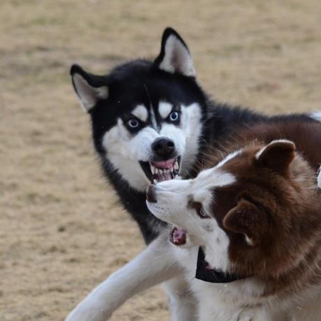 马拉松赛车，世界迎来更新！全新规则玩法闪亮登场，速来体验