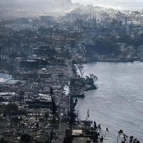 清理海滩 拯救生命 超级解压!Steam第一人称沉浸式“捡垃圾模拟器” 《重建你的岛屿》定档4月9日发售! 清理海滩 拯救生命 超级解压!Steam第一人称沉浸式“捡垃圾模拟器” 《重建你的岛屿》定档4月9日发售!