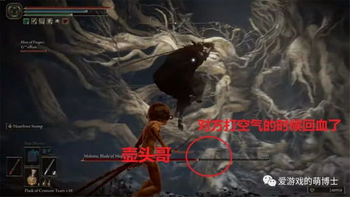 艾尔登法环壶头哥打女武神翻车，诚恳道歉，孩子们，那不是我！