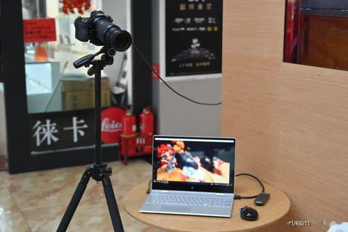 2026生活模拟新宠来袭！粒粒的小人国带你体验超新奇变小玩法