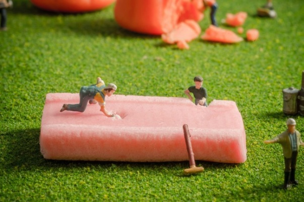 粒粒的小人国2026将登场!变小玩法能否成生活模拟新王牌? 粒粒的小人国2026将登场!变小玩法能否成生活模拟新王牌?