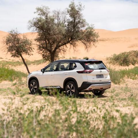 玩家自制MOD惊艳红色沙漠,画质飞跃引爆体验 玩家自制MOD惊艳红色沙漠,画质飞跃引爆体验