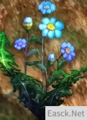 魔兽世界：盲目草采集攻略，悲伤沼泽遍地是宝！