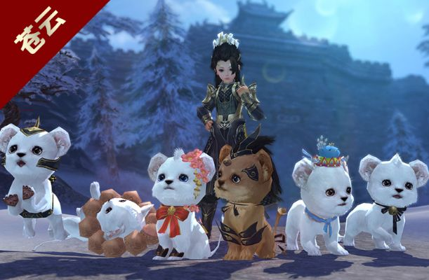 剑网3宠物系统2026终极指南，如何高效获取并培养稀缺战斗伙伴？