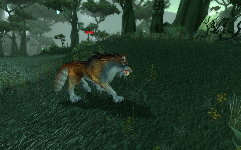 魔兽猎人必看！2026超稀有宠物实用抓捕指南