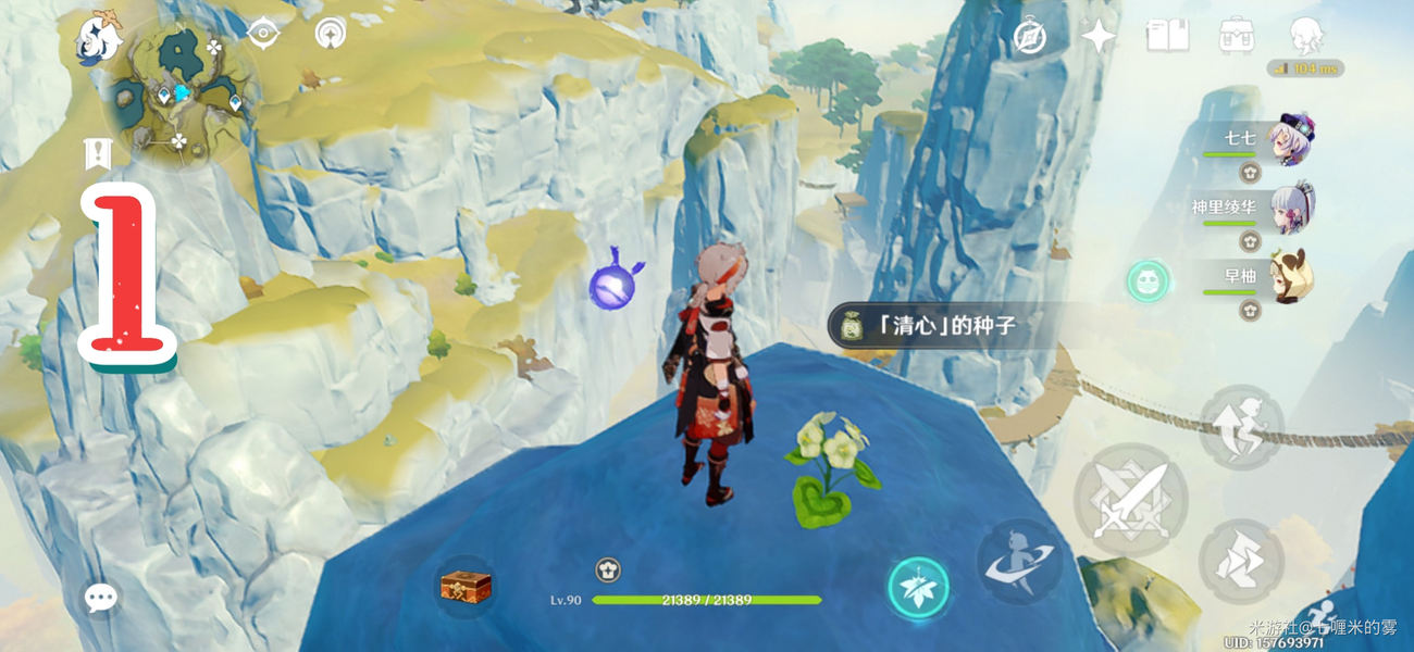 璃月清心采集路线全解，效率翻倍必看！