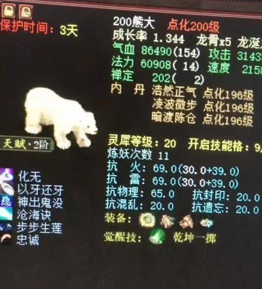 2026年刚开一秒私服终极攻略,如何快速抢占新服红利并避开常见陷阱? 2026年刚开一秒私服终极攻略,如何快速抢占新服红利并避开常见陷阱?