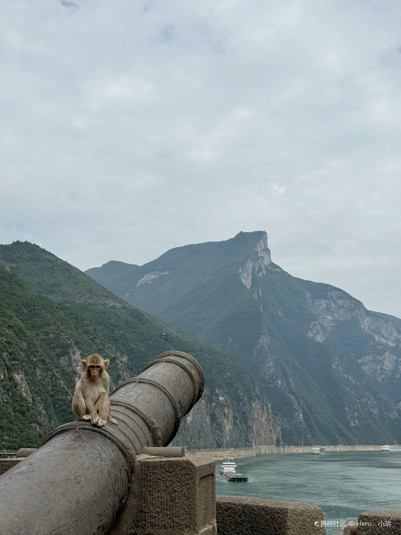 瞿塘峡经验团，2026年新手必看攻略，高效配置如何助你突破等级瓶颈？