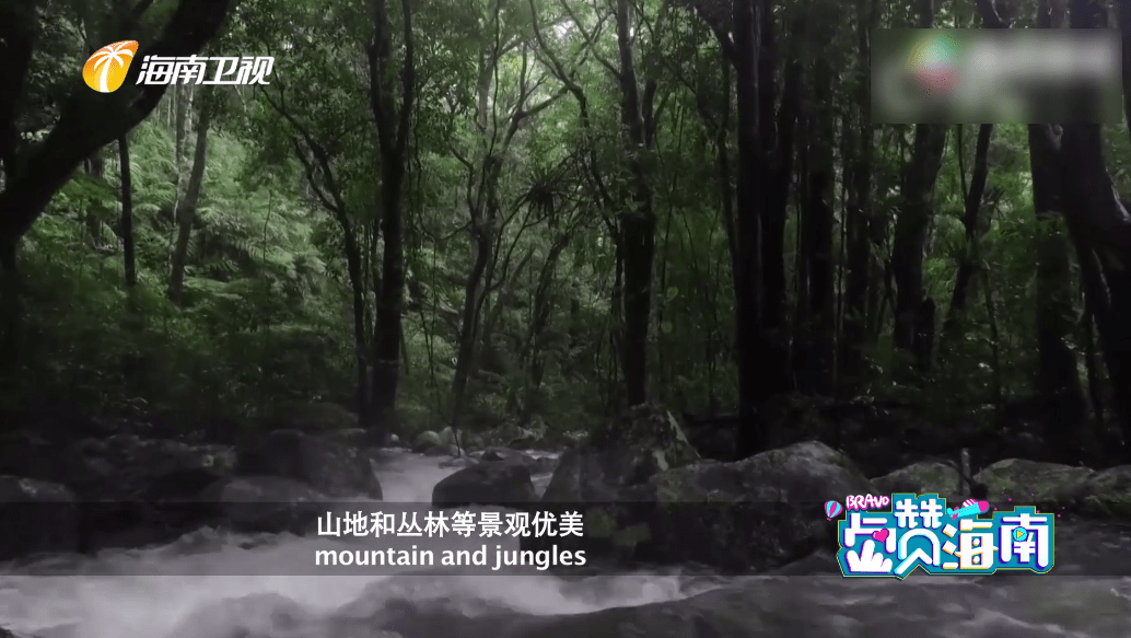 丛林奇遇如何破局?雨林法则教你破解资源短缺死循环 丛林奇遇如何破局?雨林法则教你破解资源短缺死循环