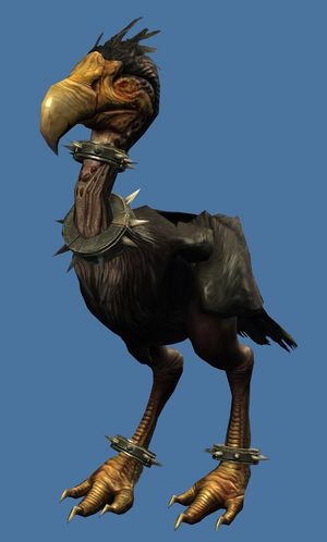 陆行鸟类型全览，核心分类与获取方式