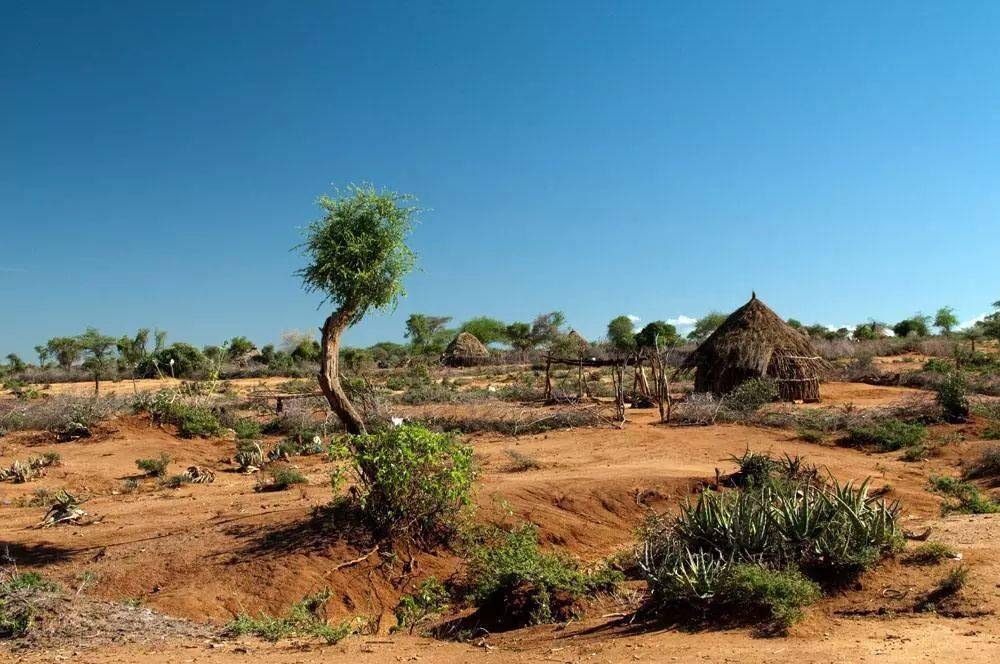 资源枯竭期生存指南，如何用最贫瘠开局逆袭成顶级农场主？