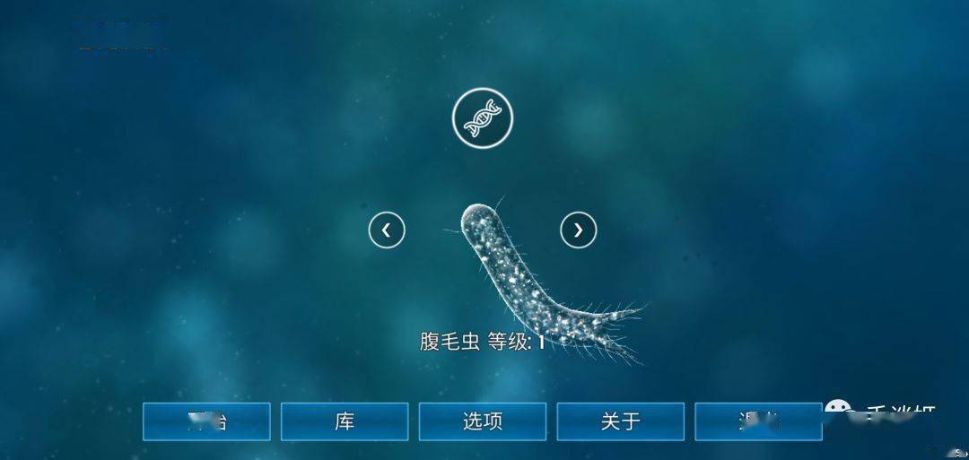 孢子类型终极指南，2026年高效策略如何改写你的游戏命运？