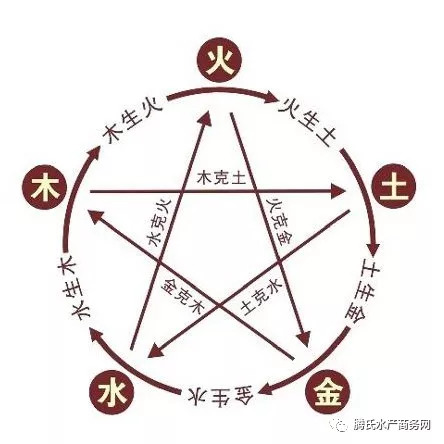 钩肥大战，2026年如何成为钩子之王？独家实战技巧全解析