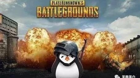 2026年绝地求生进阶攻略，如何高效吃鸡并提升胜率？