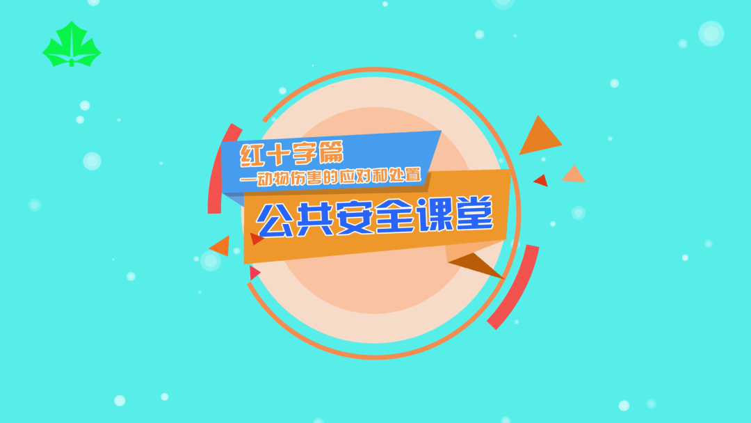 动物森友会，2026年必学的赚钱秘籍，新手也能日入百万铃钱？
